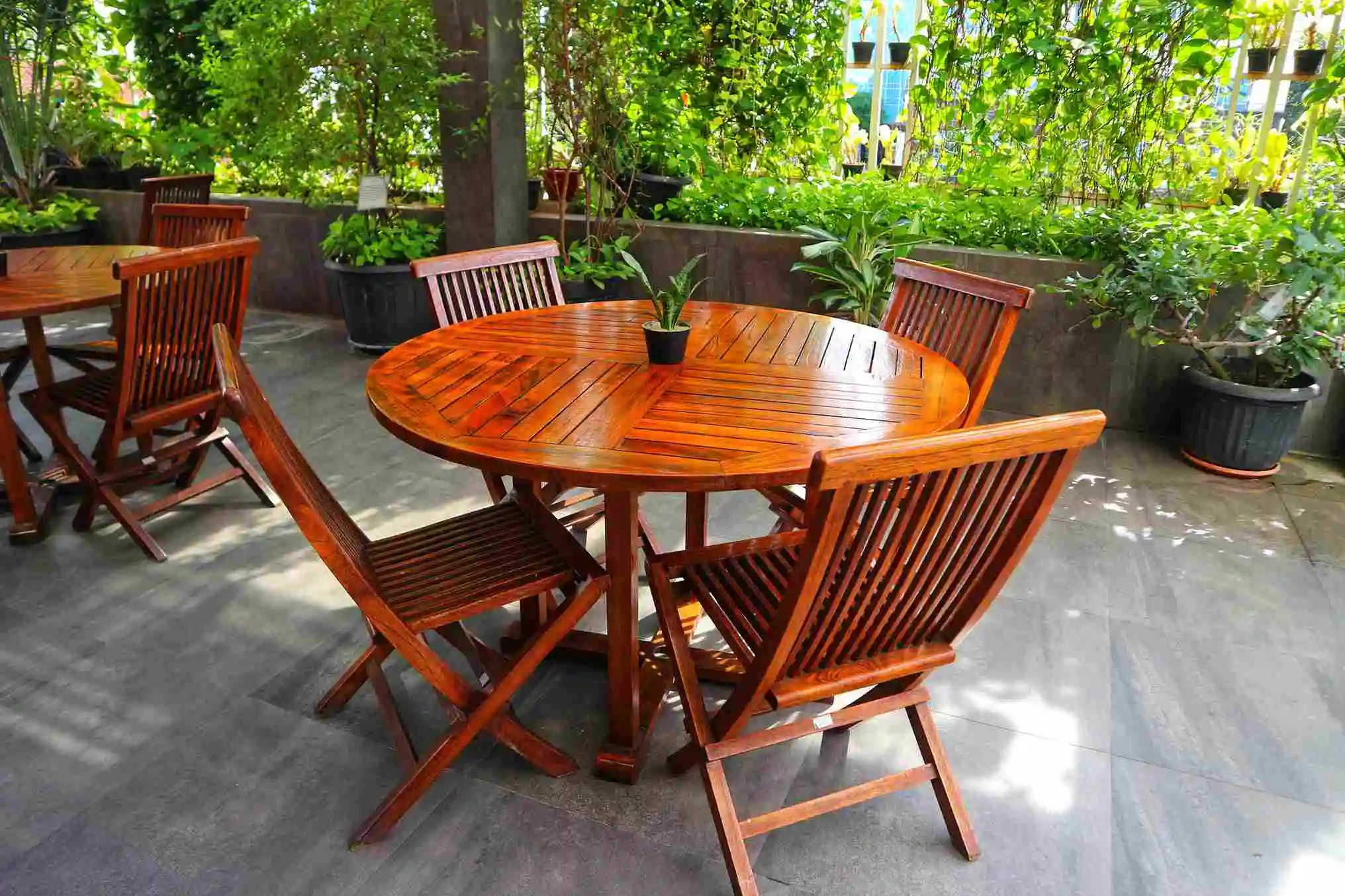 Kayu jati untuk furniture outdoor dan indoor